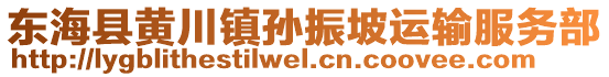 東海縣黃川鎮(zhèn)孫振坡運輸服務部