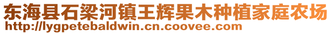 東?？h石梁河鎮(zhèn)王輝果木種植家庭農(nóng)場