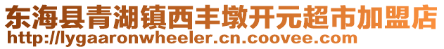 東?？h青湖鎮(zhèn)西豐墩開元超市加盟店