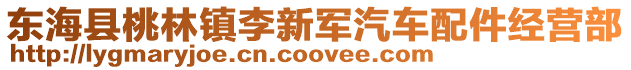 東海縣桃林鎮李新軍汽車配件經營部