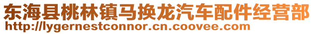 東海縣桃林鎮(zhèn)馬換龍汽車配件經(jīng)營部