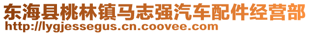 東海縣桃林鎮馬志強汽車配件經營部