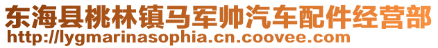 東海縣桃林鎮馬軍帥汽車配件經營部