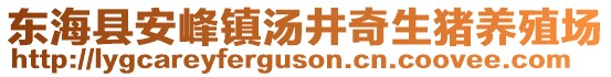 東海縣安峰鎮(zhèn)湯井奇生豬養(yǎng)殖場(chǎng)