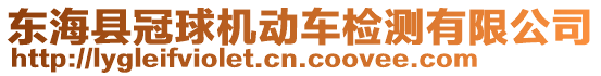 東海縣冠球機動車檢測有限公司