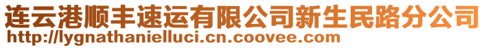 連云港順豐速運(yùn)有限公司新生民路分公司