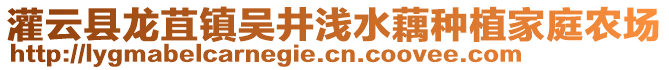 灌云縣龍苴鎮(zhèn)吳井淺水藕種植家庭農(nóng)場(chǎng)