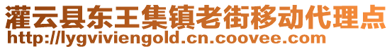 灌云縣東王集鎮(zhèn)老街移動(dòng)代理點(diǎn)