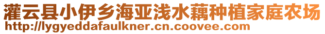 灌云縣小伊鄉(xiāng)海亞淺水藕種植家庭農(nóng)場