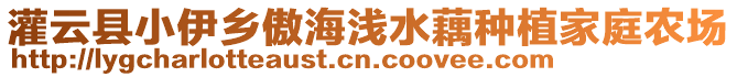 灌云縣小伊鄉(xiāng)傲海淺水藕種植家庭農(nóng)場
