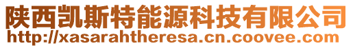 陜西凱斯特能源科技有限公司