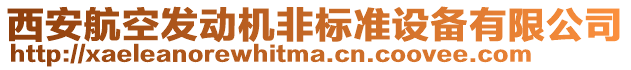 西安航空發(fā)動機(jī)非標(biāo)準(zhǔn)設(shè)備有限公司