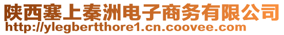 陜西塞上秦洲電子商務(wù)有限公司