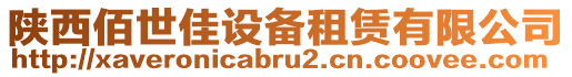 陜西佰世佳設備租賃有限公司