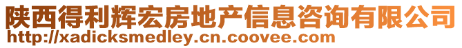 陜西得利輝宏房地產(chǎn)信息咨詢有限公司