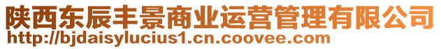 陜西東辰豐景商業(yè)運(yùn)營(yíng)管理有限公司