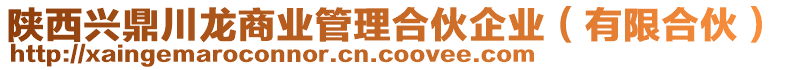 陜西興鼎川龍商業(yè)管理合伙企業(yè)（有限合伙）