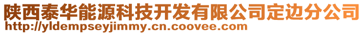 陜西泰華能源科技開發(fā)有限公司定邊分公司