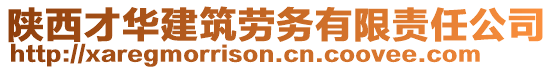 陜西才華建筑勞務(wù)有限責(zé)任公司