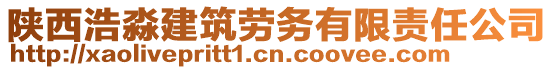 陜西浩淼建筑勞務(wù)有限責(zé)任公司