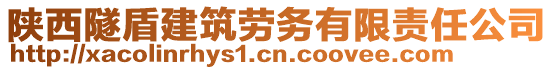 陜西隧盾建筑勞務(wù)有限責(zé)任公司