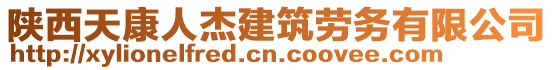 陜西天康人杰建筑勞務(wù)有限公司