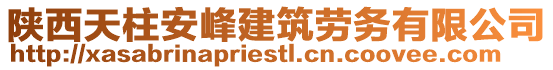 陜西天柱安峰建筑勞務(wù)有限公司