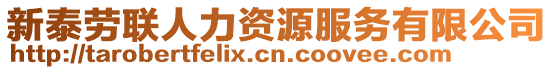 新泰勞聯(lián)人力資源服務(wù)有限公司