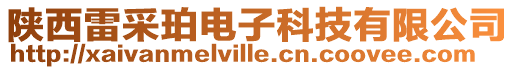 陜西雷采珀電子科技有限公司