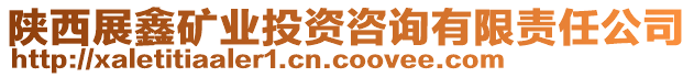 陜西展鑫礦業(yè)投資咨詢有限責任公司