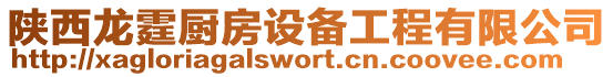 陜西龍霆廚房設備工程有限公司