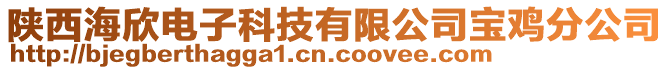 陜西海欣電子科技有限公司寶雞分公司