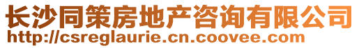 長沙同策房地產(chǎn)咨詢有限公司