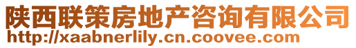 陜西聯(lián)策房地產(chǎn)咨詢有限公司