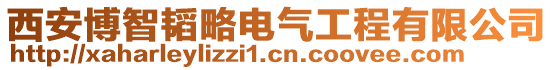 西安博智韜略電氣工程有限公司