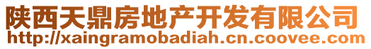 陜西天鼎房地產(chǎn)開發(fā)有限公司