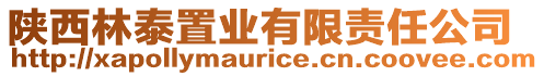 陜西林泰置業(yè)有限責(zé)任公司