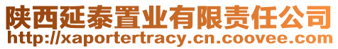 陜西延泰置業(yè)有限責(zé)任公司