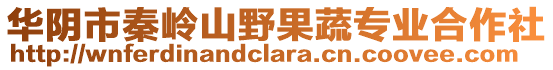 華陰市秦嶺山野果蔬專業(yè)合作社