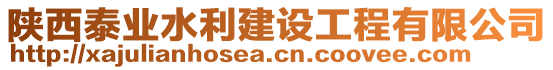 陜西泰業(yè)水利建設(shè)工程有限公司