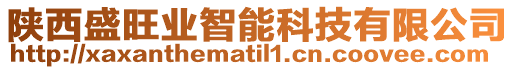 陜西盛旺業(yè)智能科技有限公司