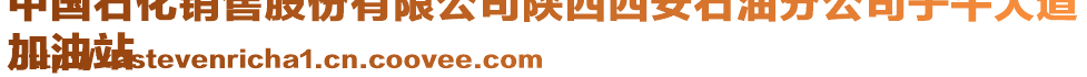 中國石化銷售股份有限公司陜西西安石油分公司子午大道
加油站