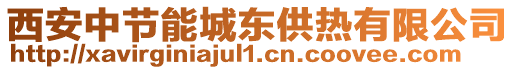 西安中節(jié)能城東供熱有限公司