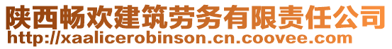 陜西暢歡建筑勞務(wù)有限責(zé)任公司