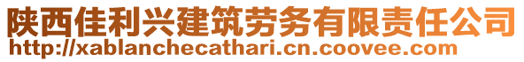 陜西佳利興建筑勞務(wù)有限責(zé)任公司