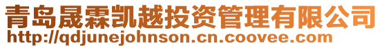 青島晟霖凱越投資管理有限公司