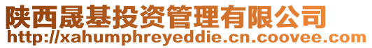 陜西晟基投資管理有限公司