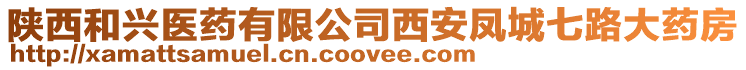 陜西和興醫(yī)藥有限公司西安鳳城七路大藥房