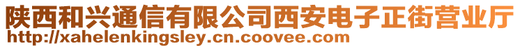 陜西和興通信有限公司西安電子正街營(yíng)業(yè)廳