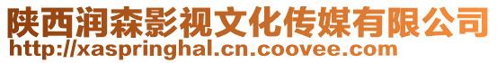 陜西潤森影視文化傳媒有限公司